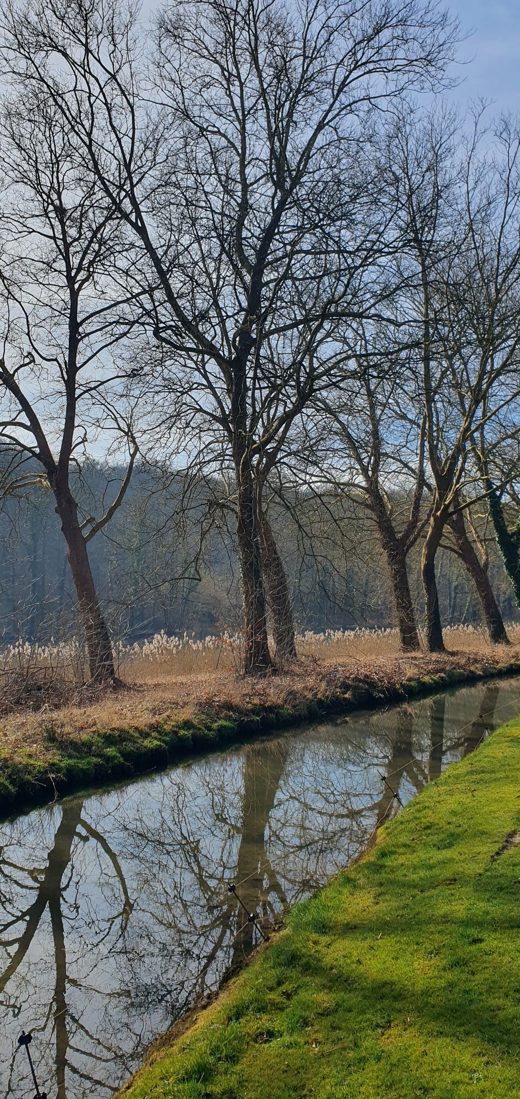 A tranquil riverside scene with bare trees and a calm water body reflecting the surroundings.