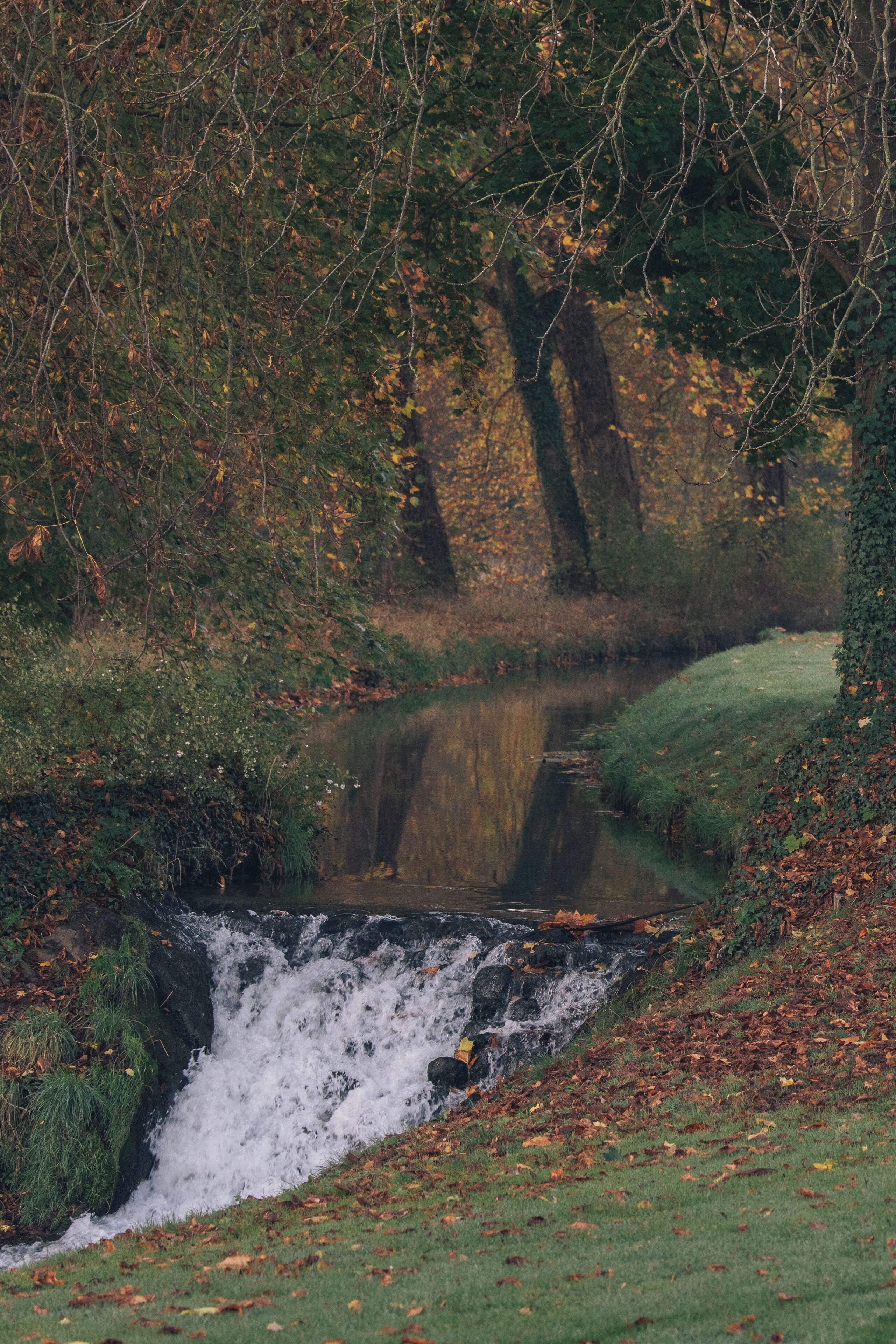 A serene outdoor scene with a small waterfall, dense foliage, and a calm river.