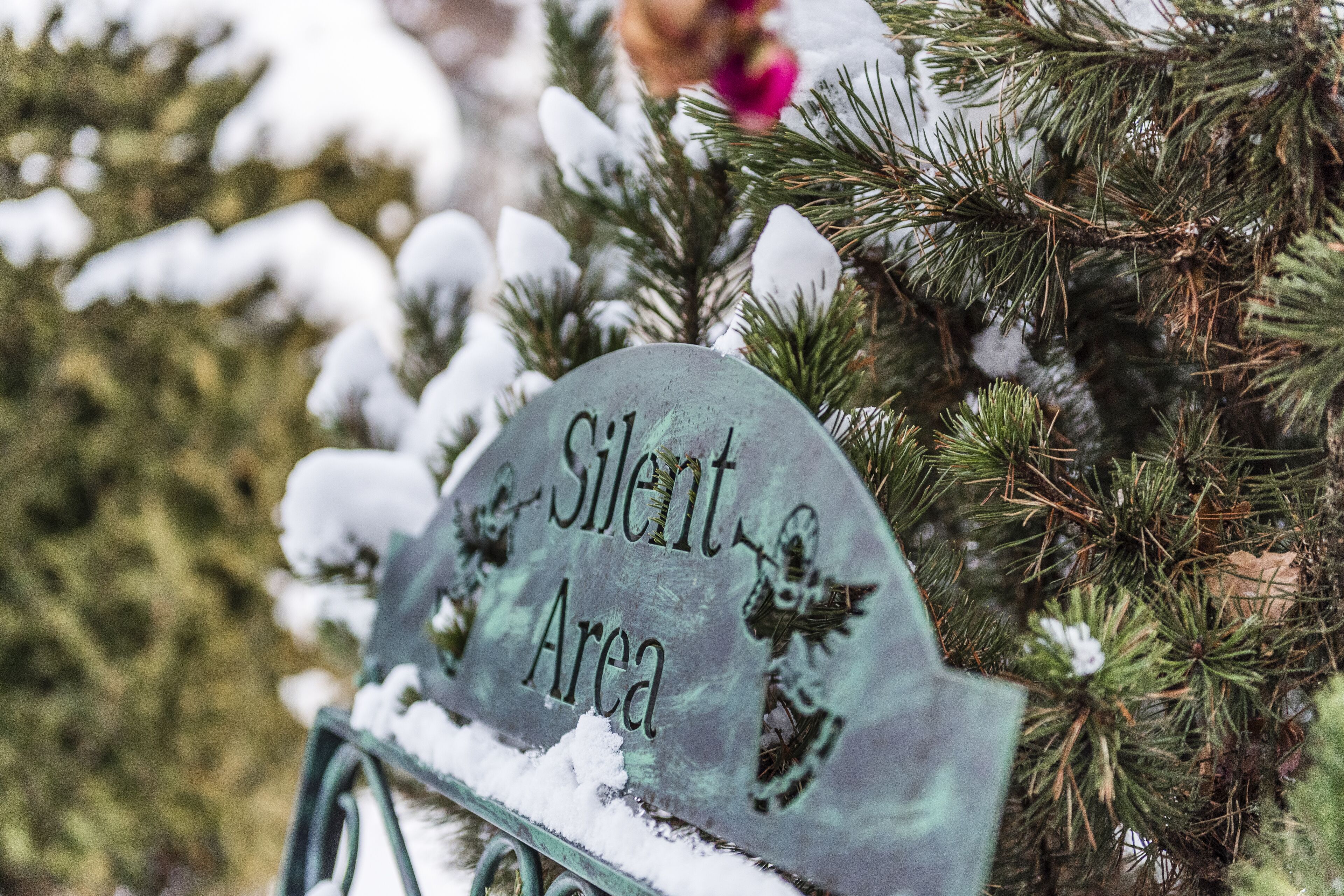 Foto - Hotel Angelo Engel