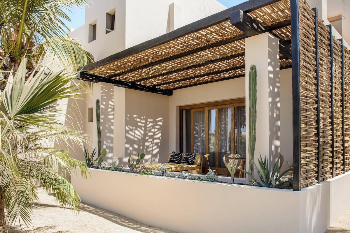 A modern outdoor seating area with a sofa and cushions, surrounded by cacti and a palm tree.