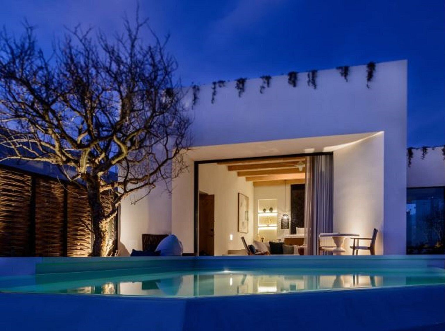 Villa, 1 King Bed, Oceanfront (Plunge Pool, Firepit)