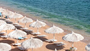 A beach with rows of sun loungers and thatched umbrellas. - SUNRISE Arabian Beach Resort (Sharm El Sheikh)