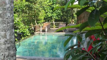 Outdoor pool, sun loungers