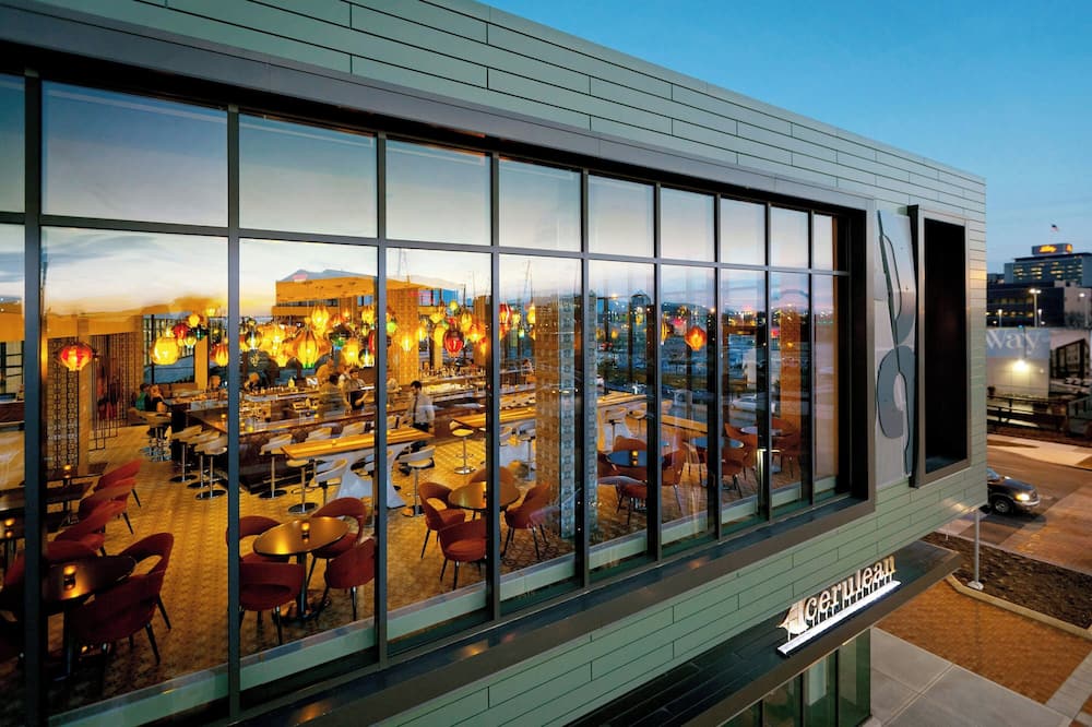 The Alexander
