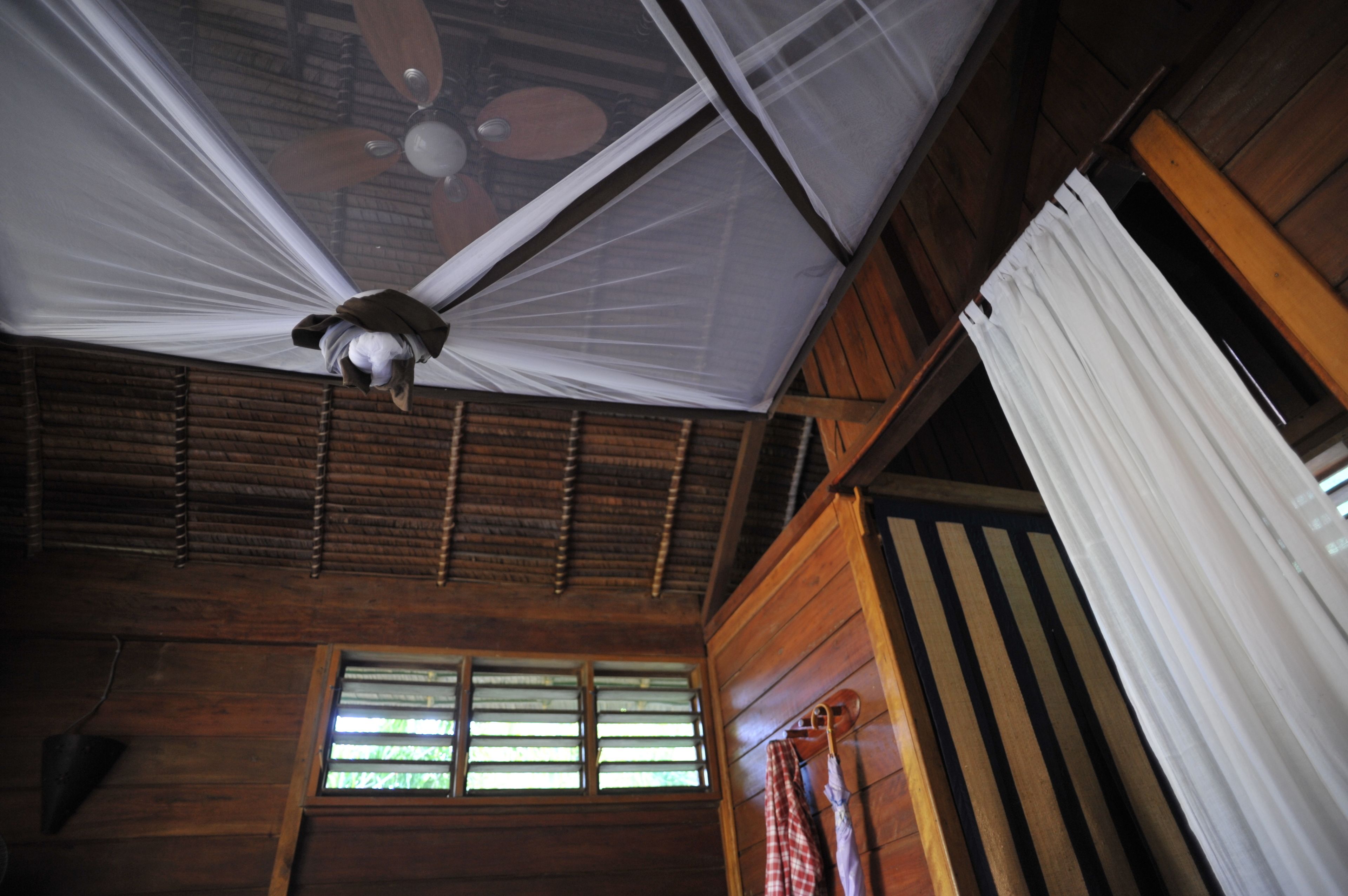 bungalow, 1 double bed | view from room