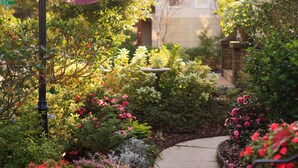 A garden pathway leading to a building with a sign for 'The Azalea Inn'.