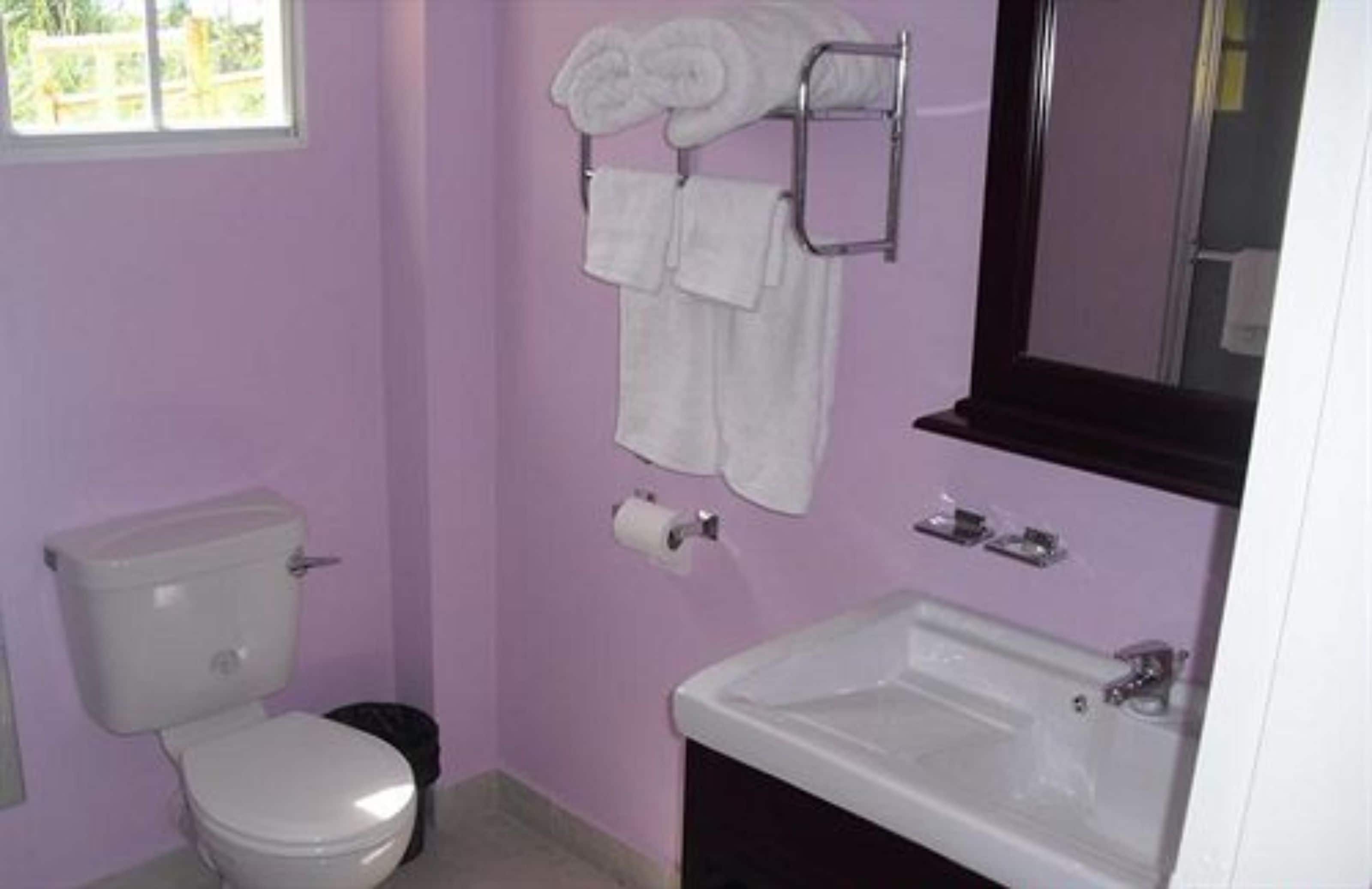 A bathroom with a toilet, sink, and towel rack.