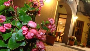 A potted plant with pink flowers in an outdoor area with a building entrance in the background. - Albergo Scaldaferro (Sandrigo)