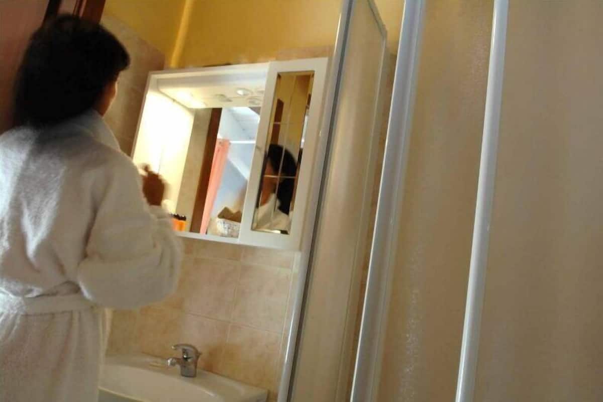 shower, free toiletries, hair dryer