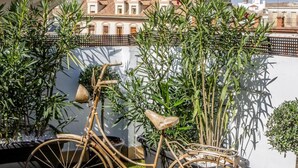 Una bicicleta estacionada bajo una pérgola con vistas a edificios y un árbol.