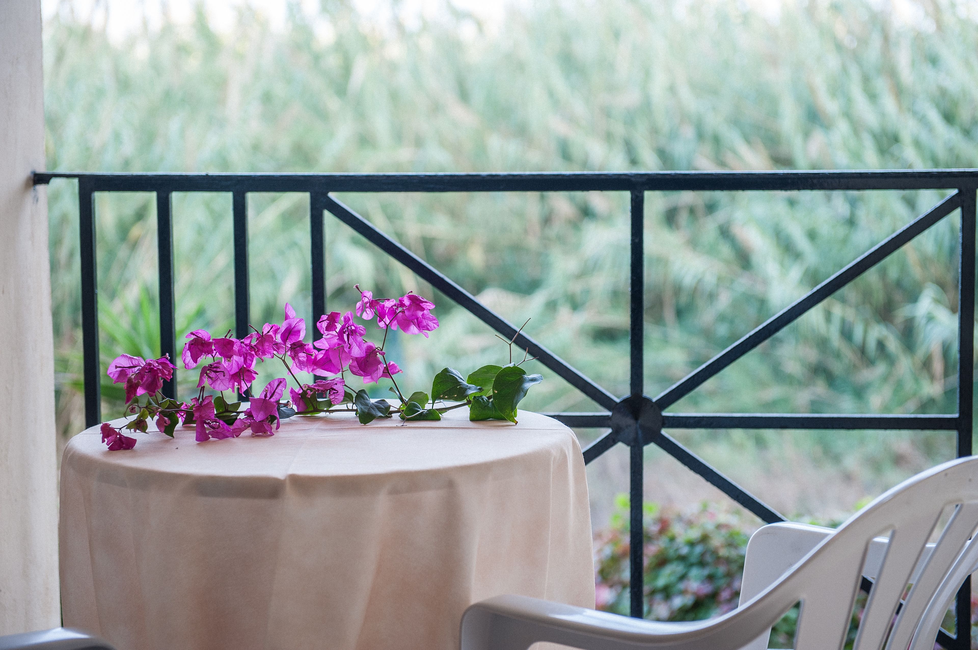 Photo - Mirtilos Studios & Apartments