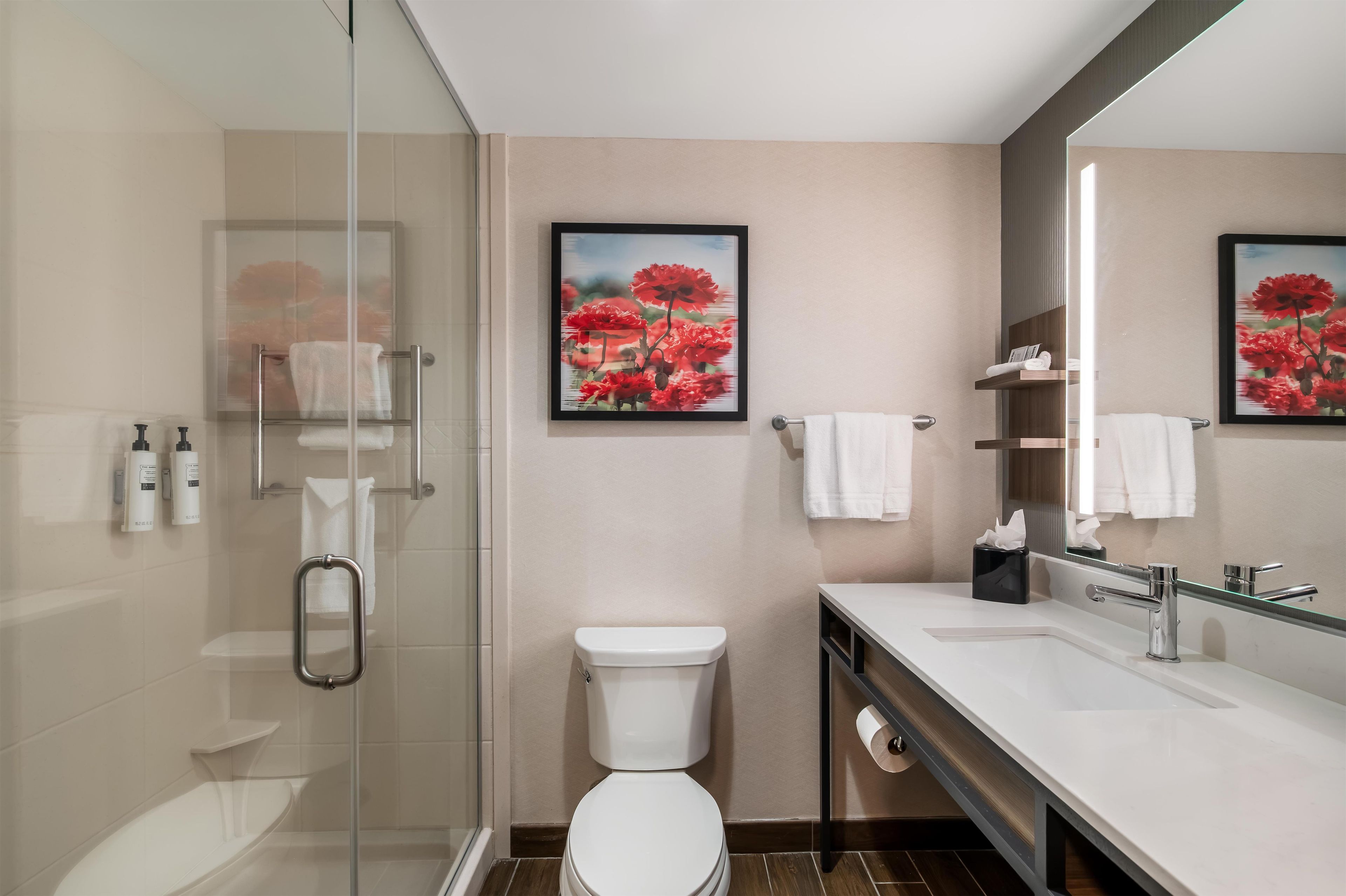 A modern bathroom with a glass-enclosed shower, a white toilet, and a vanity with a mirror.