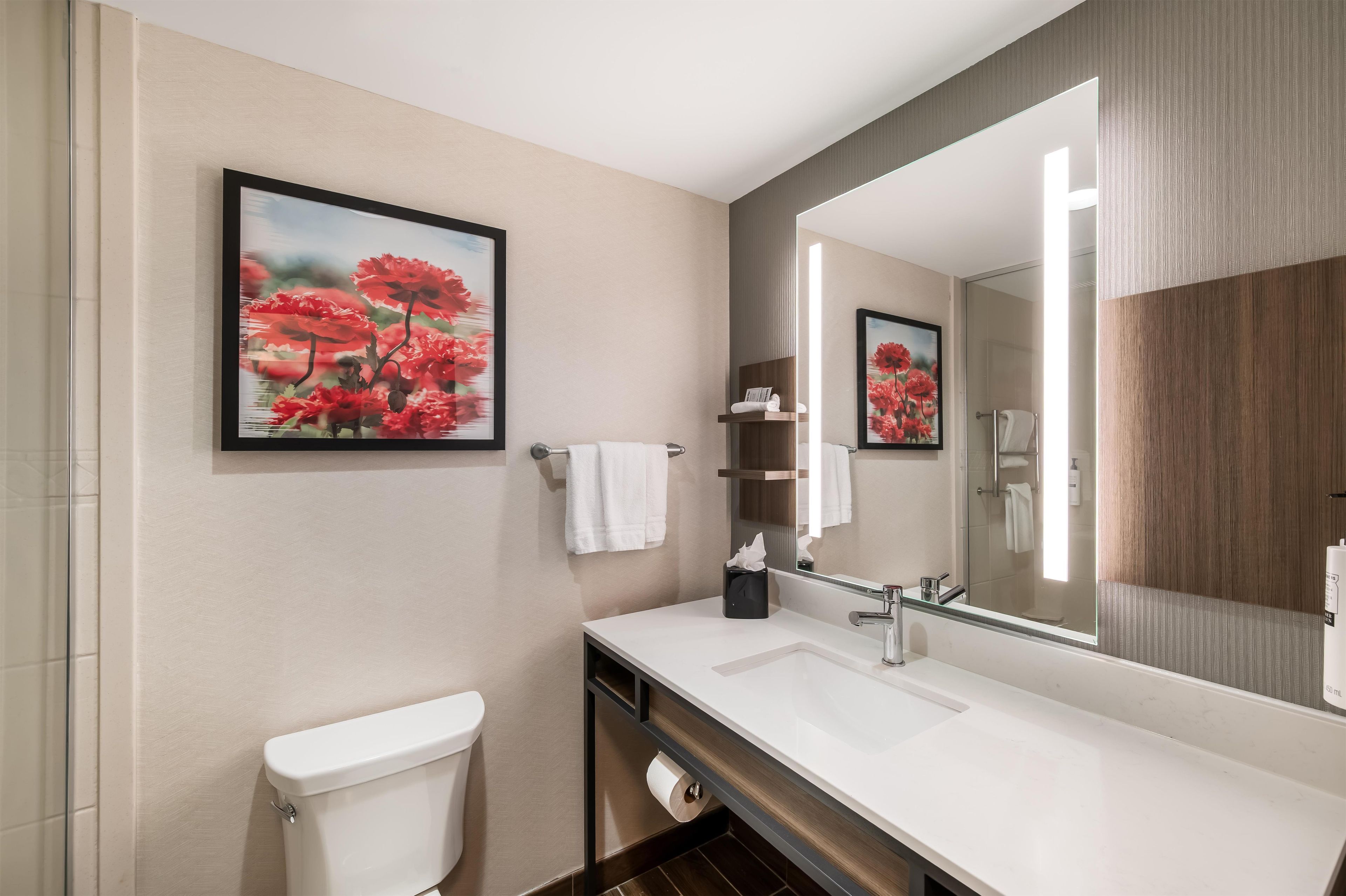 A modern bathroom with a toilet, sink, and a large mirror.
