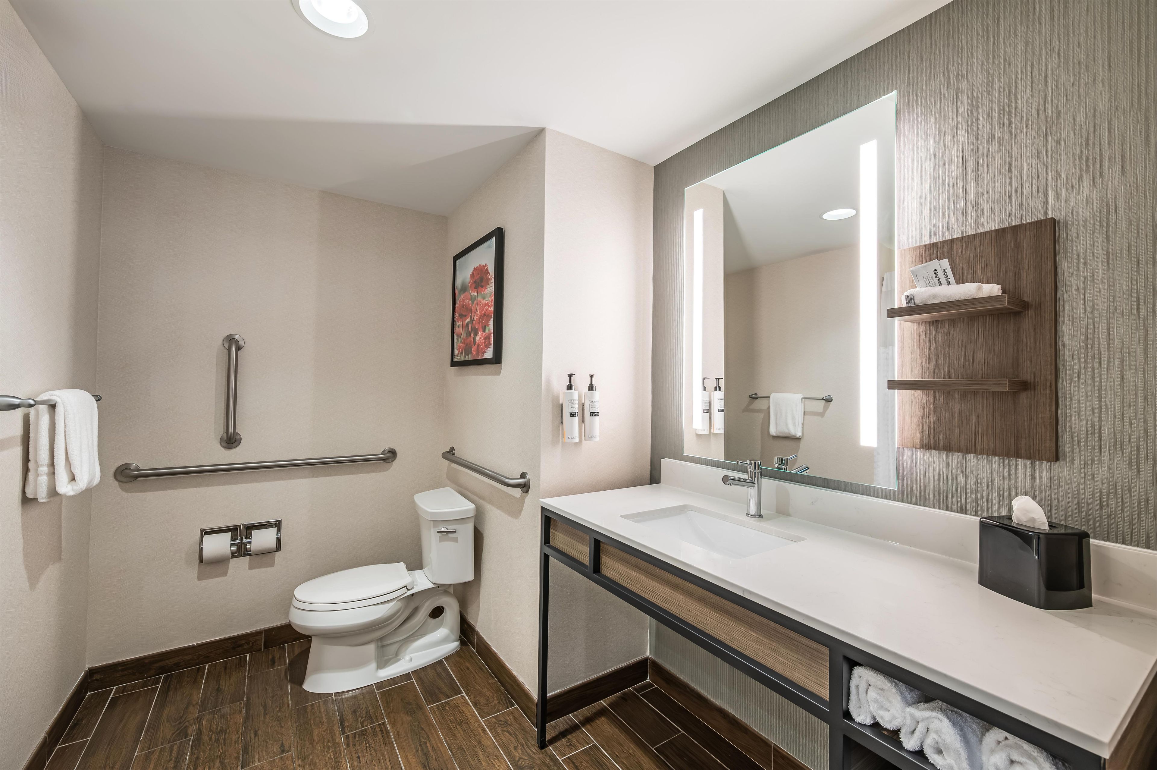 Un baño moderno con inodoro, bidé, tocador y un espejo grande.