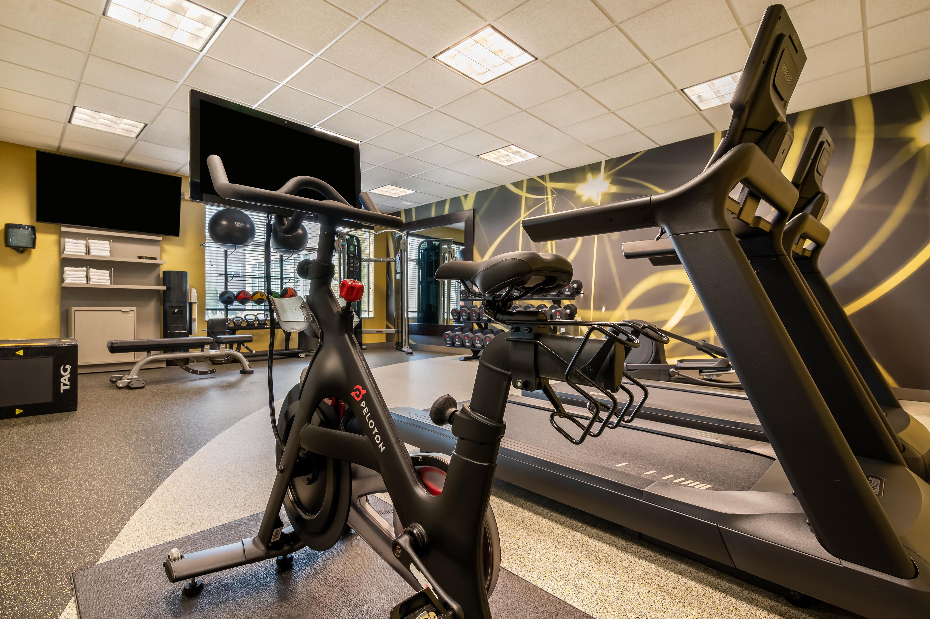 A gym with exercise equipment including a stationary bike, a treadmill, and weights.