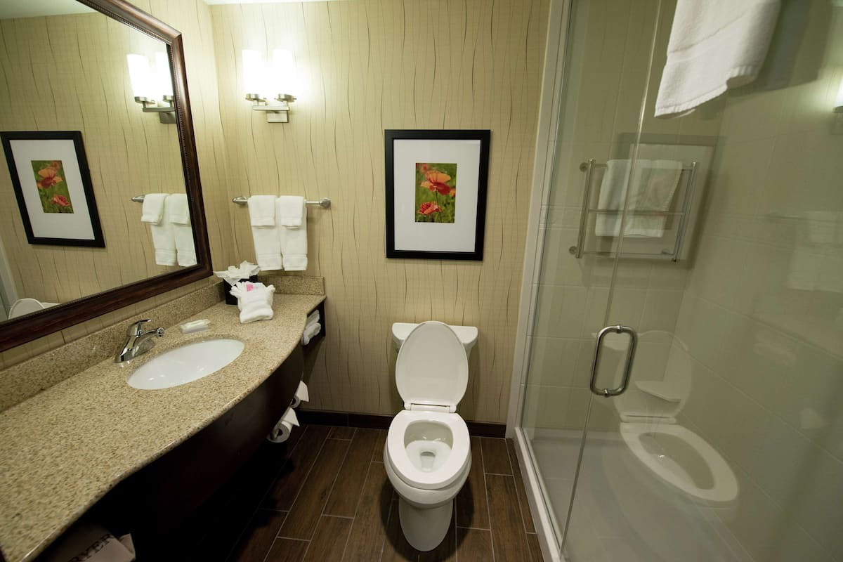 Een badkamer met een wastafel, toilet en douche. Er hangen foto's in lijsten aan de muur en er is een handdoekrek.