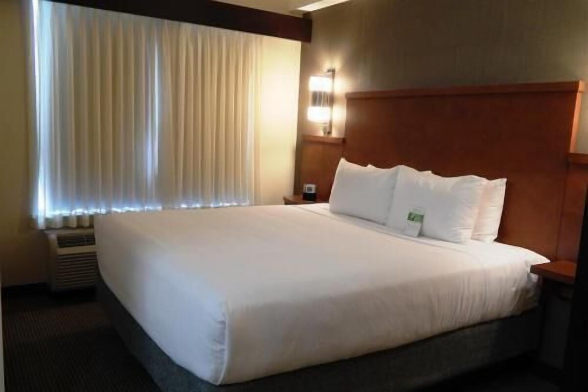 A hotel room with a large bed, a headboard, a bedside table, a lamp, and a window with curtains.