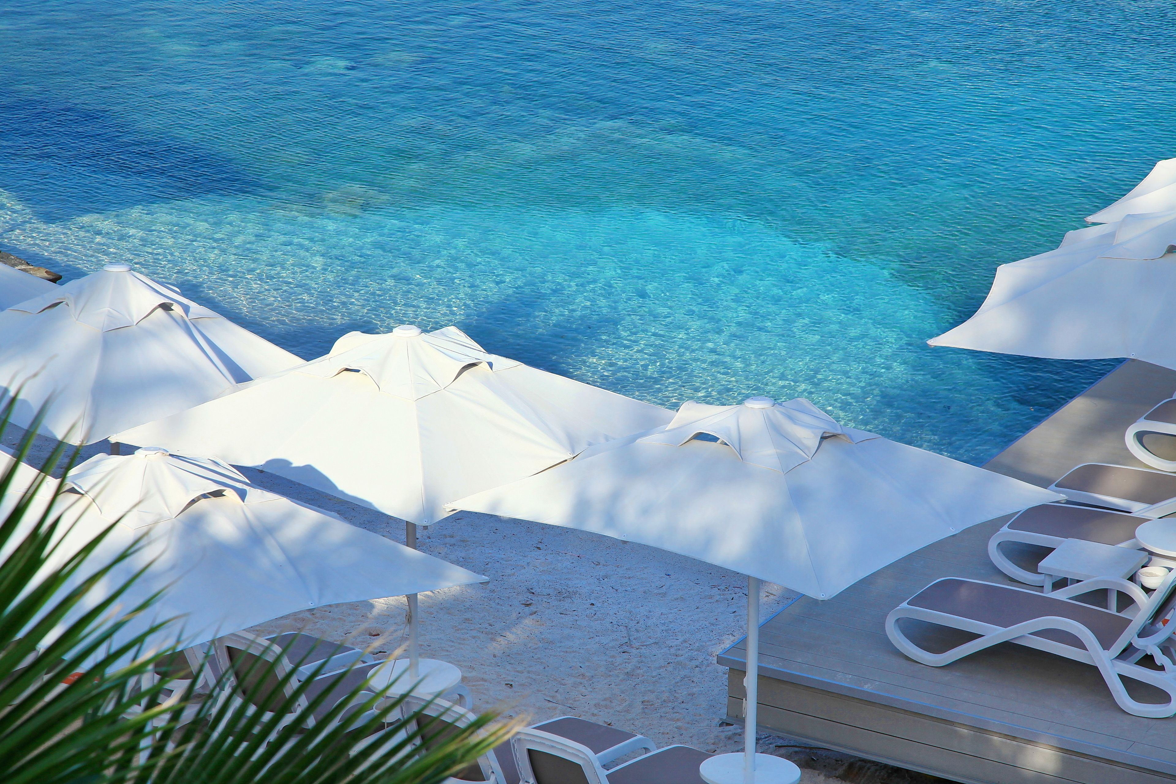 Vista desde la propiedad