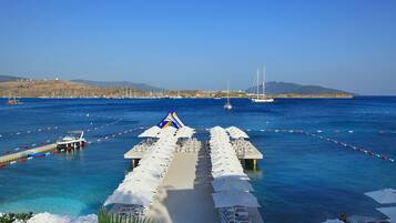 Playa privada en los alrededores y traslado desde/hacia la playa gratis