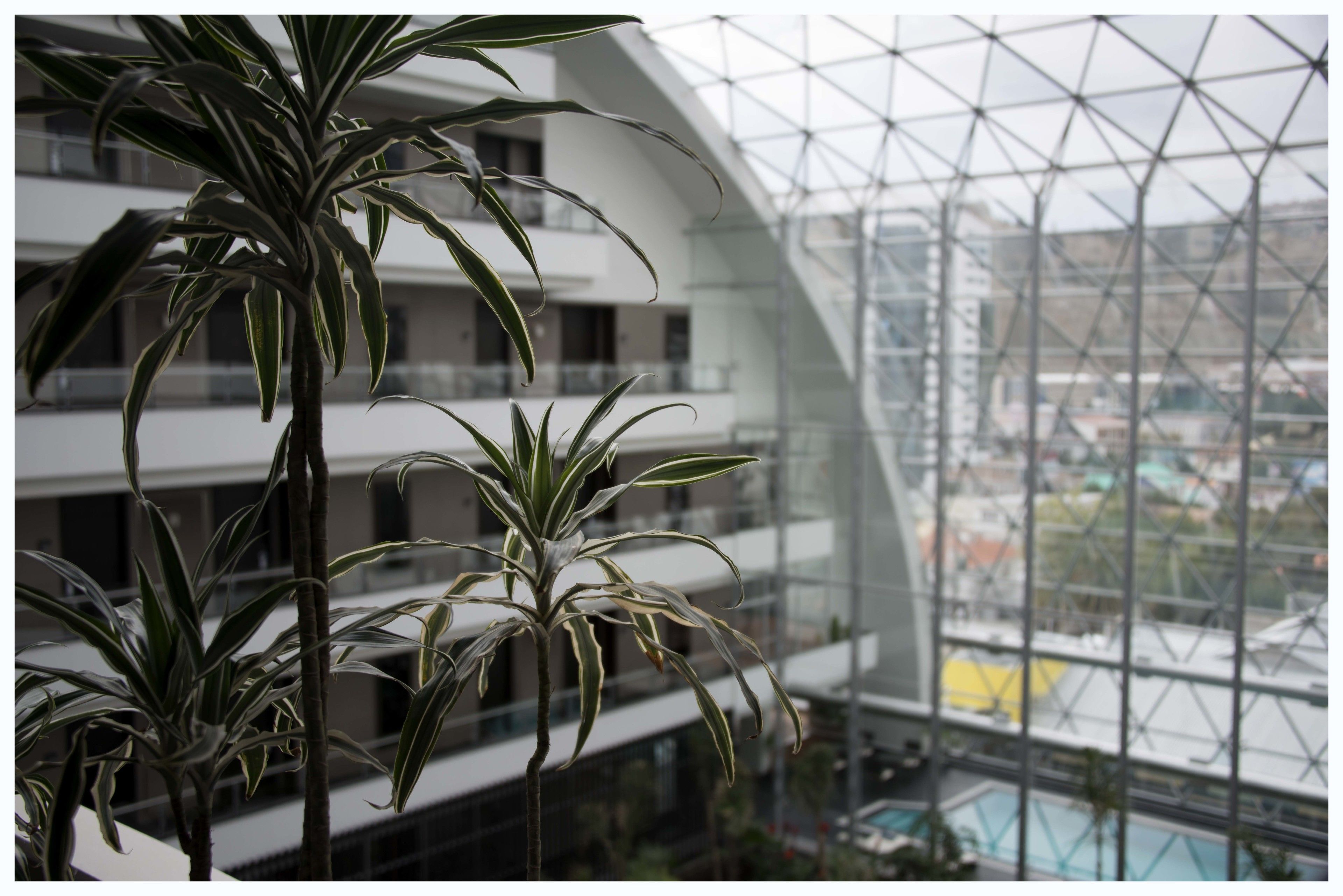 Foto - Casa Grande Hotel