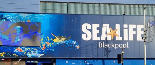 A large billboard advertising 'SEALIFE' in Blackpool, featuring a sea turtle and various fish. - Beverley Dean (Blackpool)