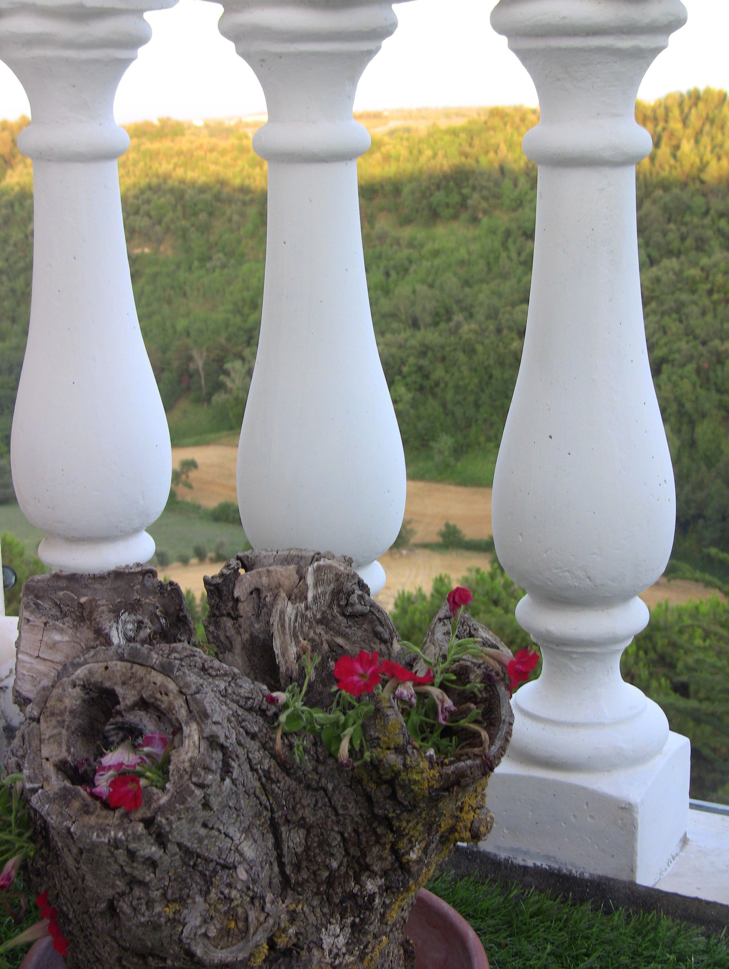 A white balustrade with a rustic tree stump centerpiece, surrounded by greenery and a distant landscape.