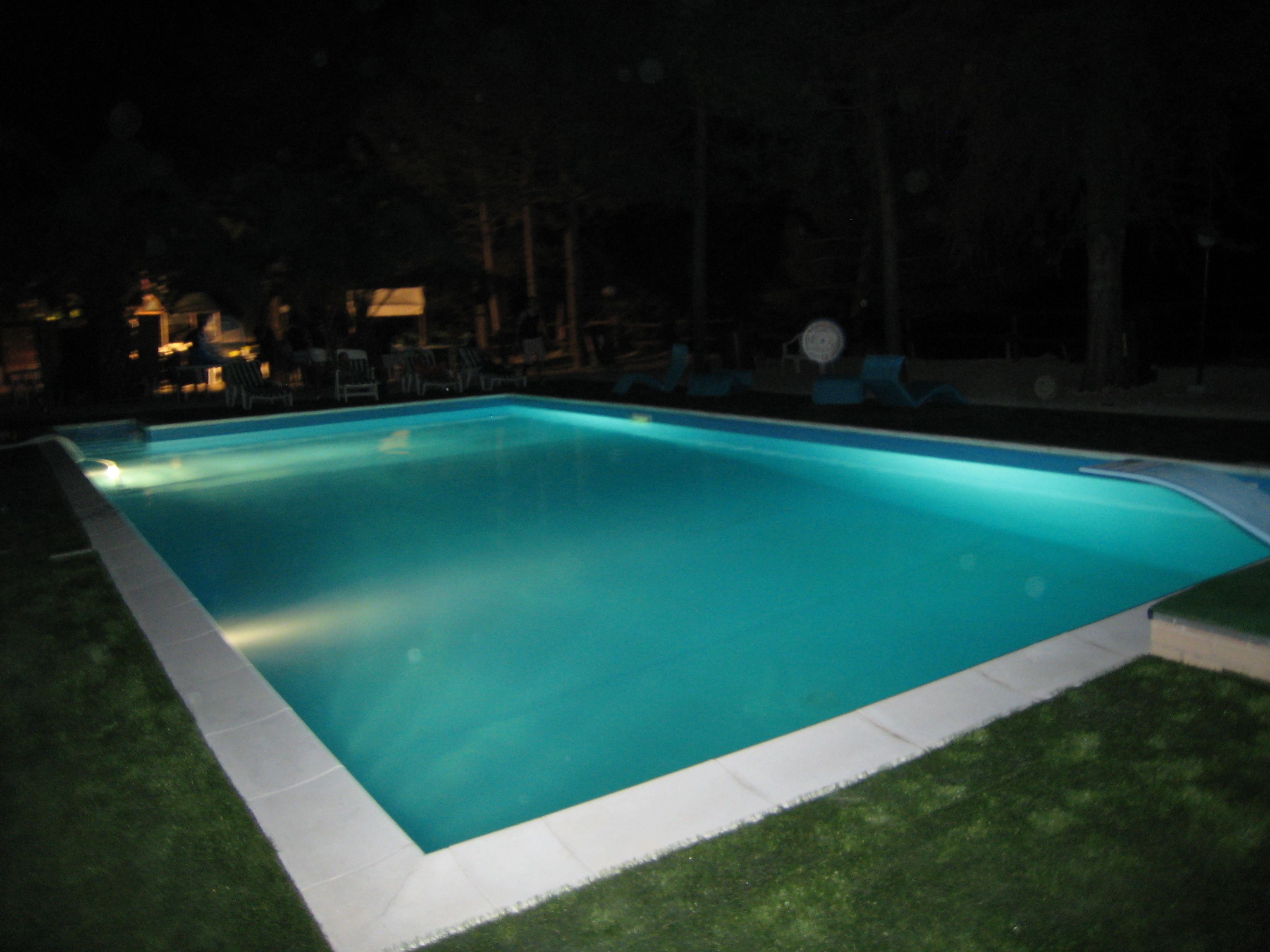 A rectangular swimming pool with a tiled edge, surrounded by a grassy area and trees.