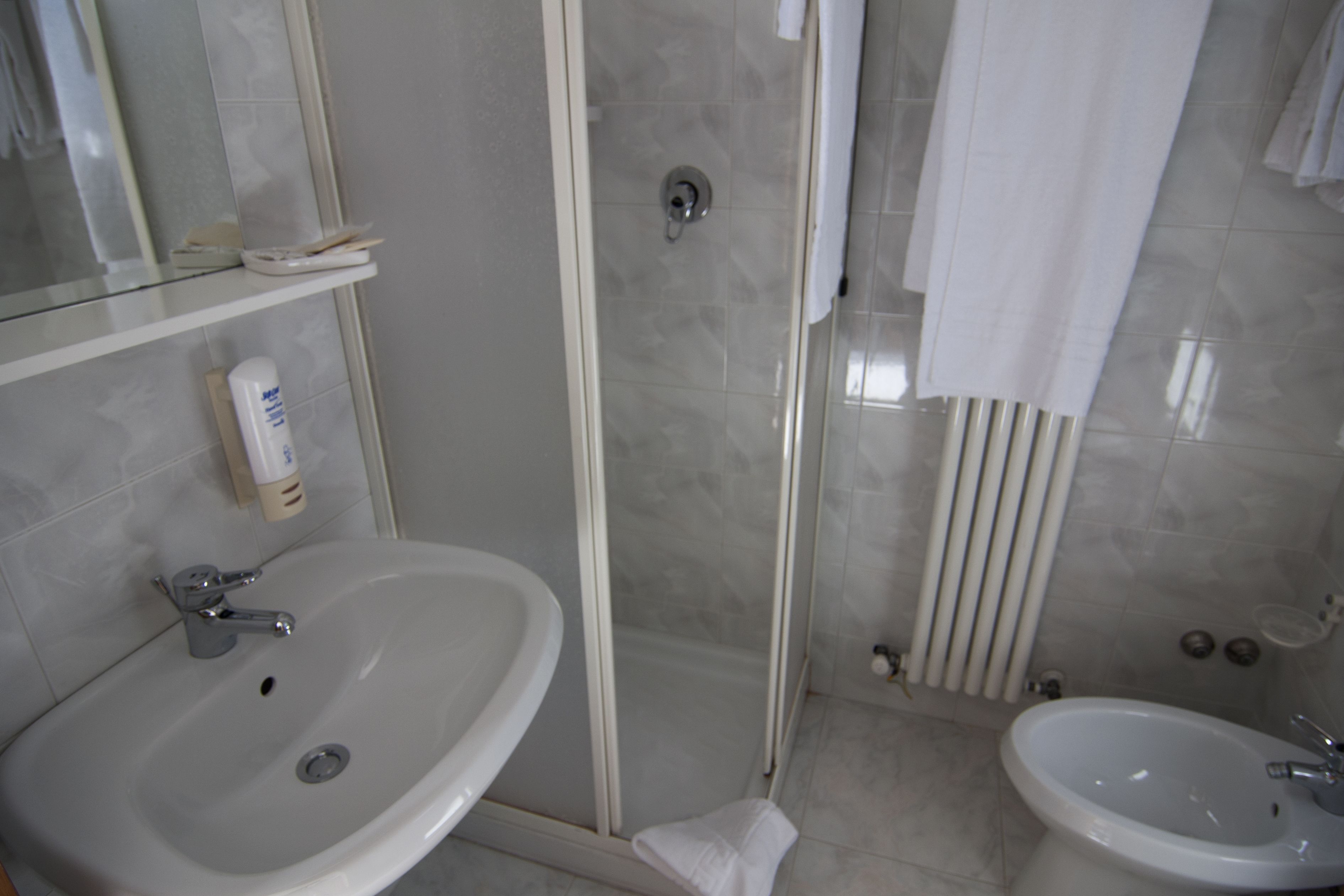 Un baño con lavabo, bidé y zona de ducha.