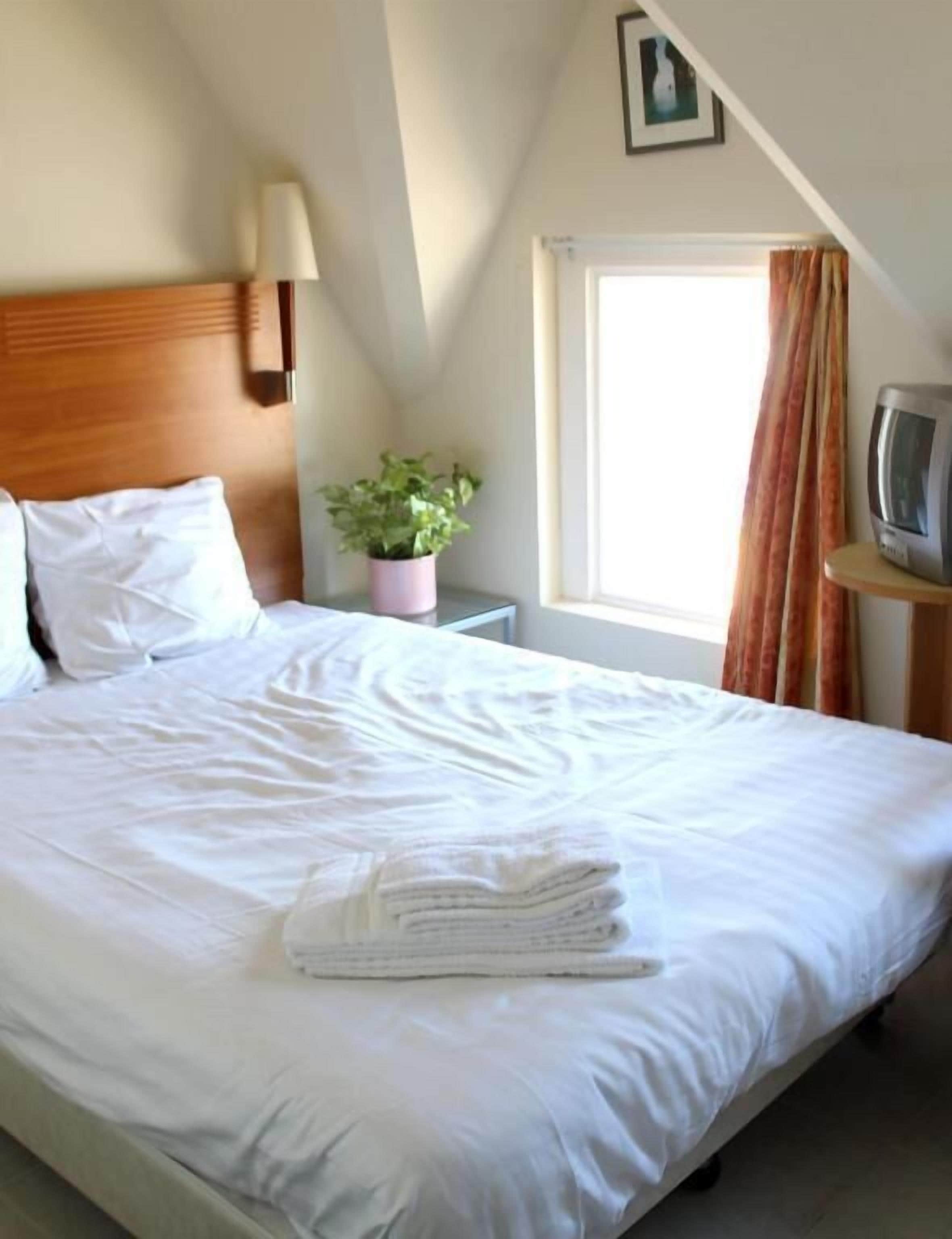 A neatly made bed with white linens, a small bedside table with a lamp, a potted plant, and a television on a stand.