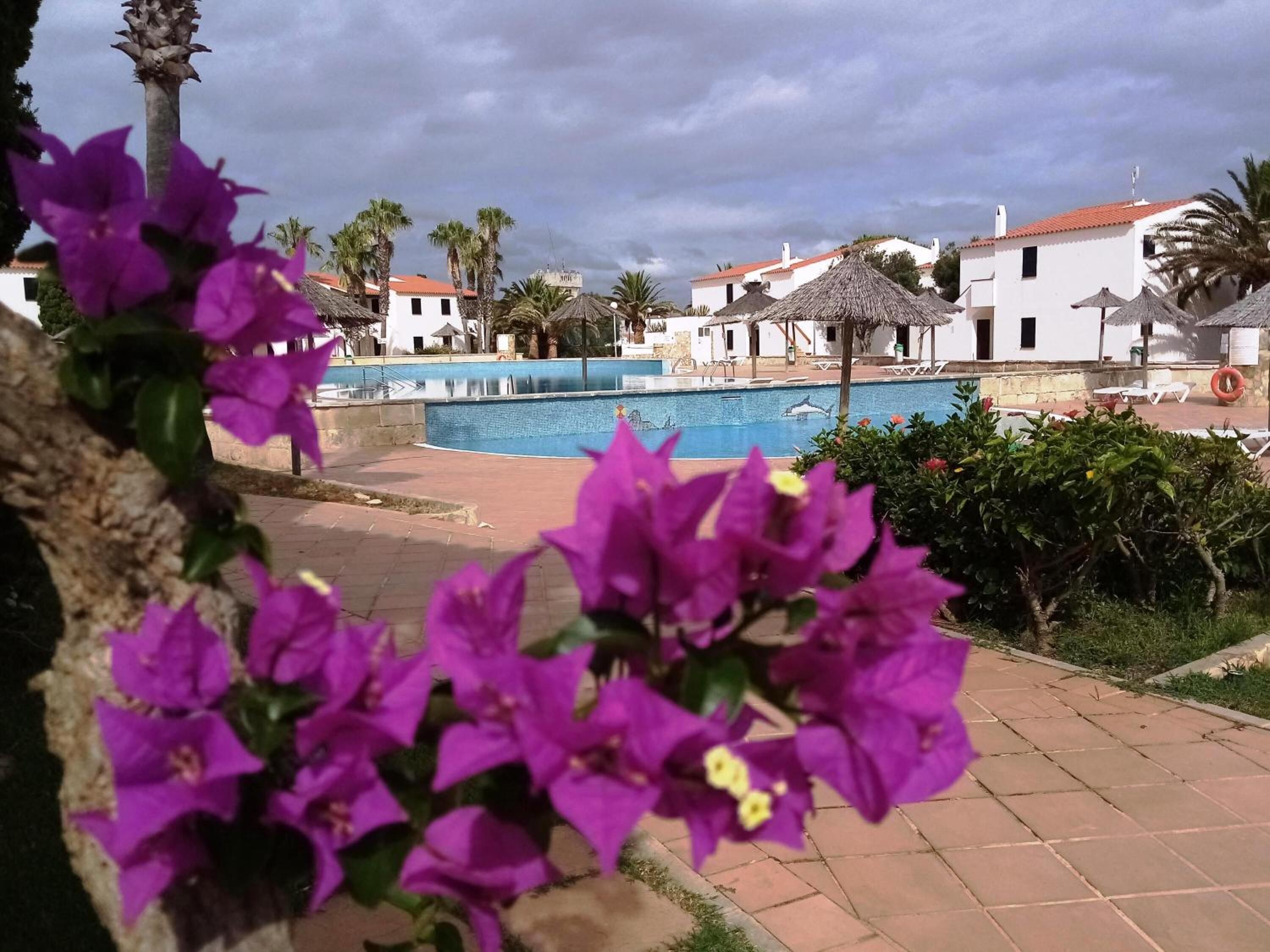 Foto - Apartamentos Vistapicas