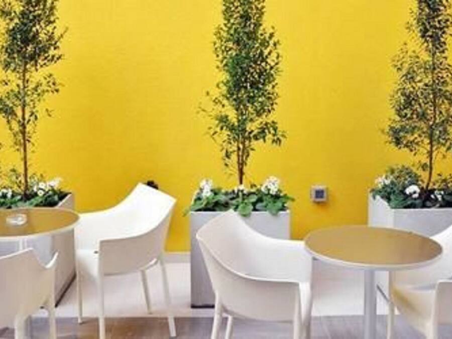 A yellow wall with three white planters containing green plants and white flowers. There are white chairs and a round table in the foreground.