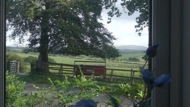 A rural landscape with a large tree, a fence, and a mailbox. - Dykefield Farm B&B (Mauchline)