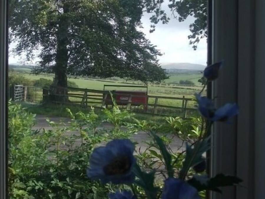 Utsikt från boendet