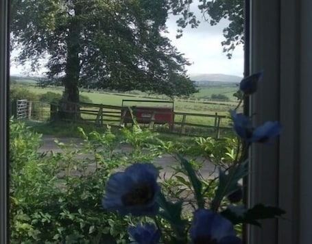 Vue depuis l’hébergement. Dykefield Farm B&B