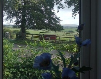 Dykefield Farm B&B