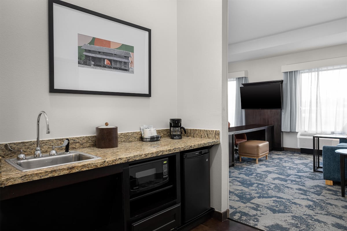 Studio, Accessible, Non Smoking | Minibar