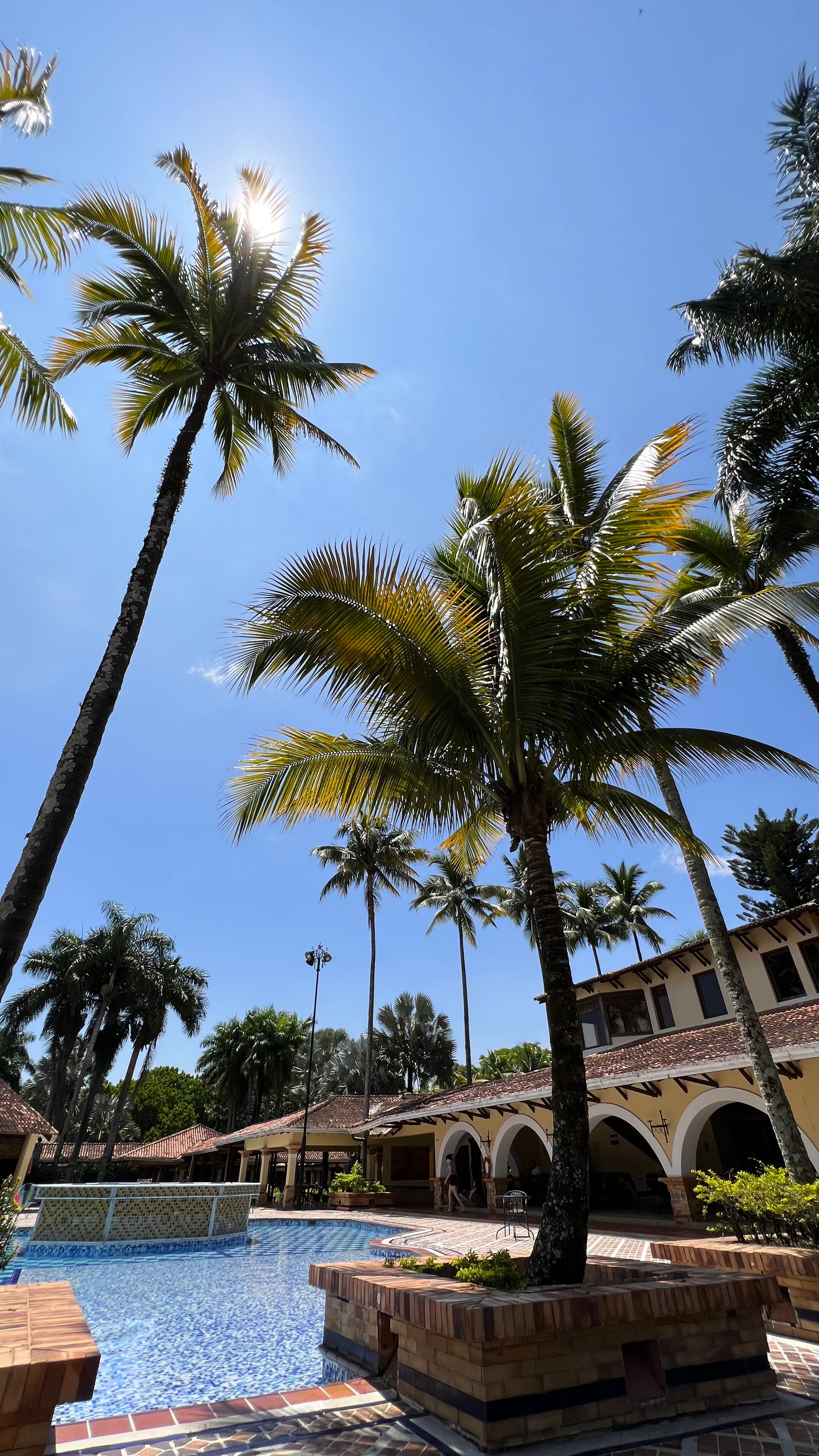 Zona de piscina con palmeras, una piscina con baldosas y un edificio con arcos.