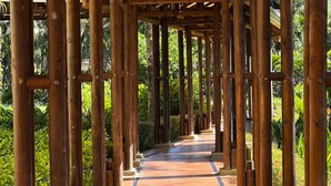 Una estructura de pérgola de madera con un sendero empedrado.