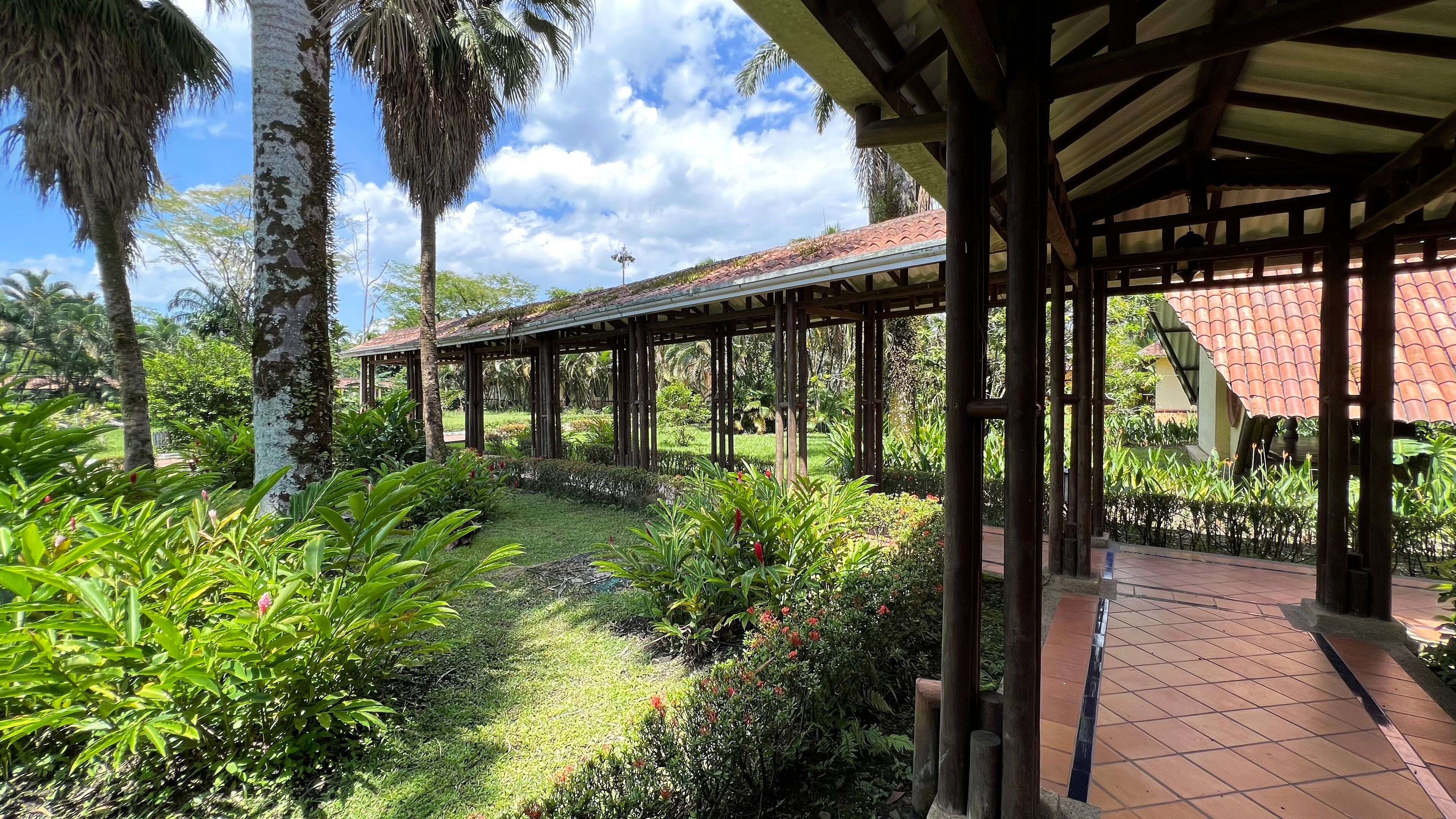 A covered outdoor area with a tiled roof, surrounded by lush greenery and palm trees.