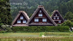 Traditional thatched-roof houses with wooden windows, set against a backdrop of lush greenery and a rice paddy.