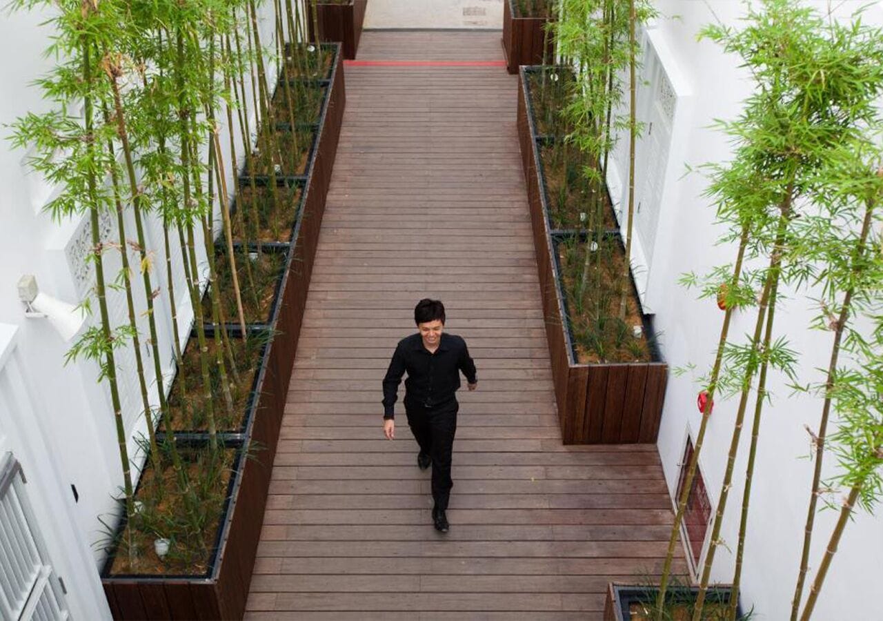 A person walking down a wooden corridor flanked by vertical gardens.