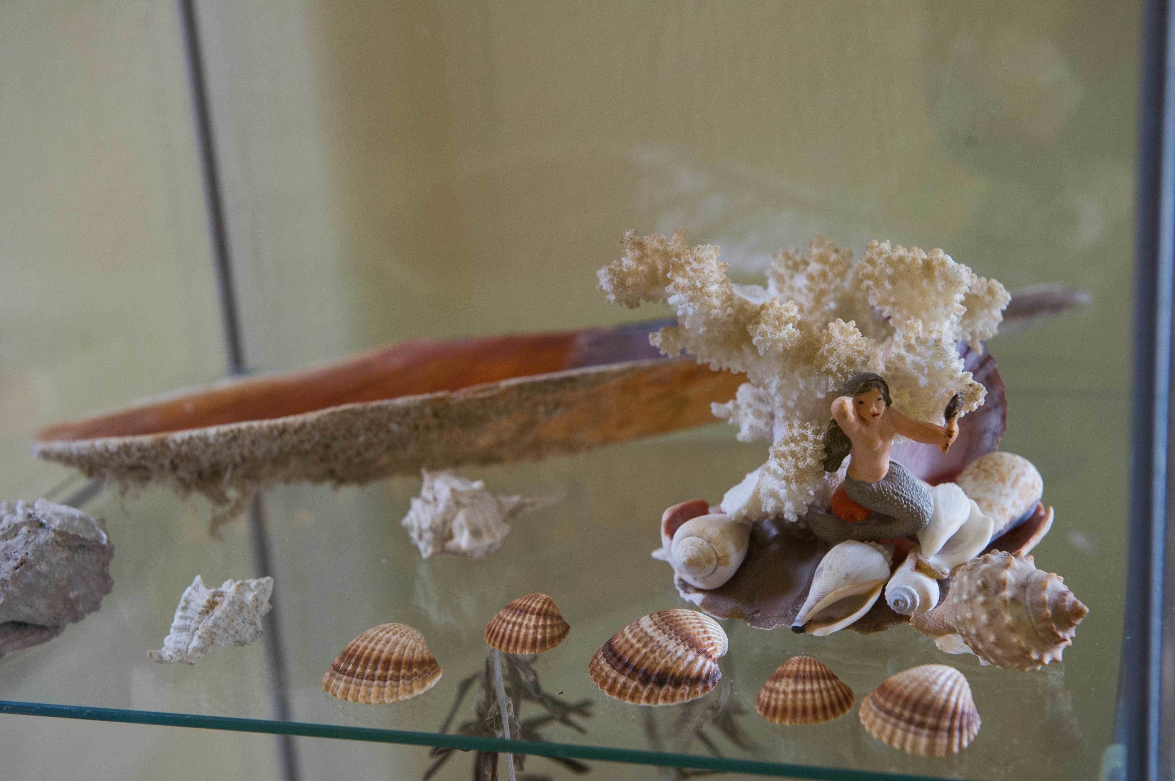 Una vitrina de vidrio con caracolas y una pequeña figurina de sirena.