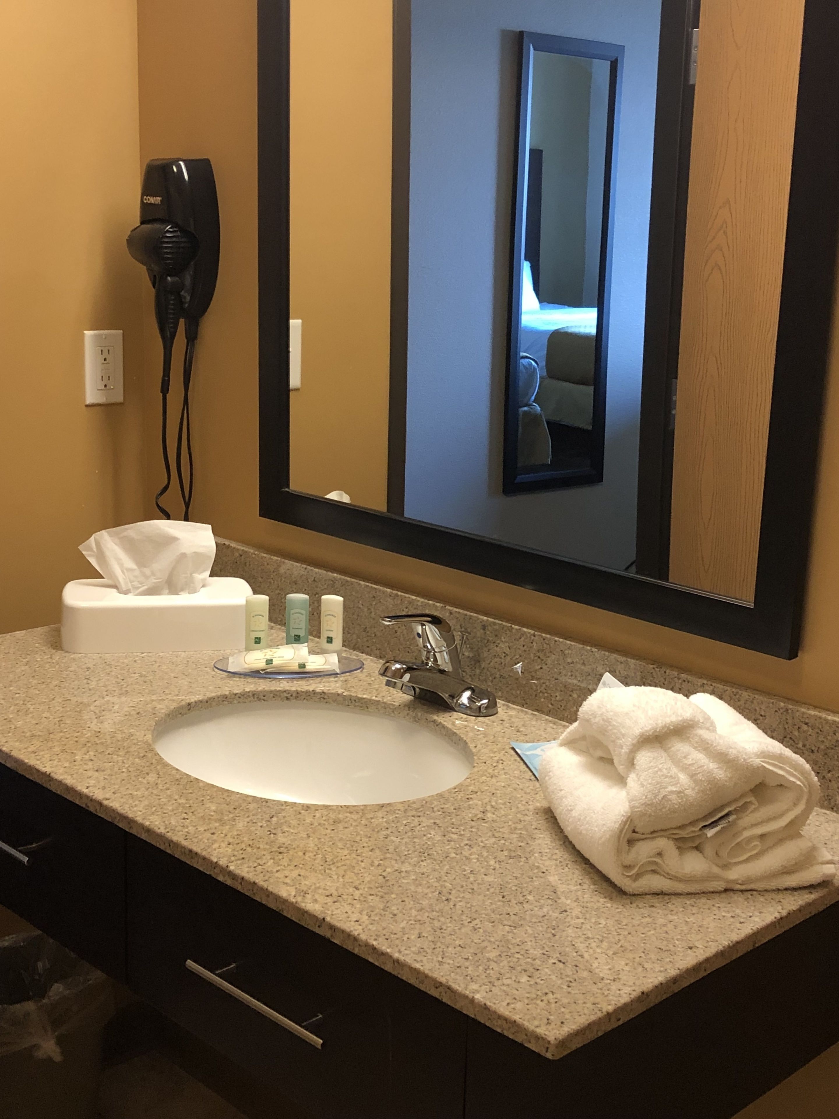 combined shower/bathtub, free toiletries, hair dryer, towels