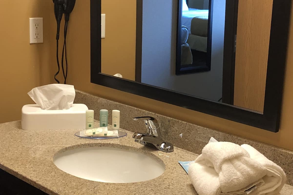 combined shower/bathtub, free toiletries, hair dryer, towels