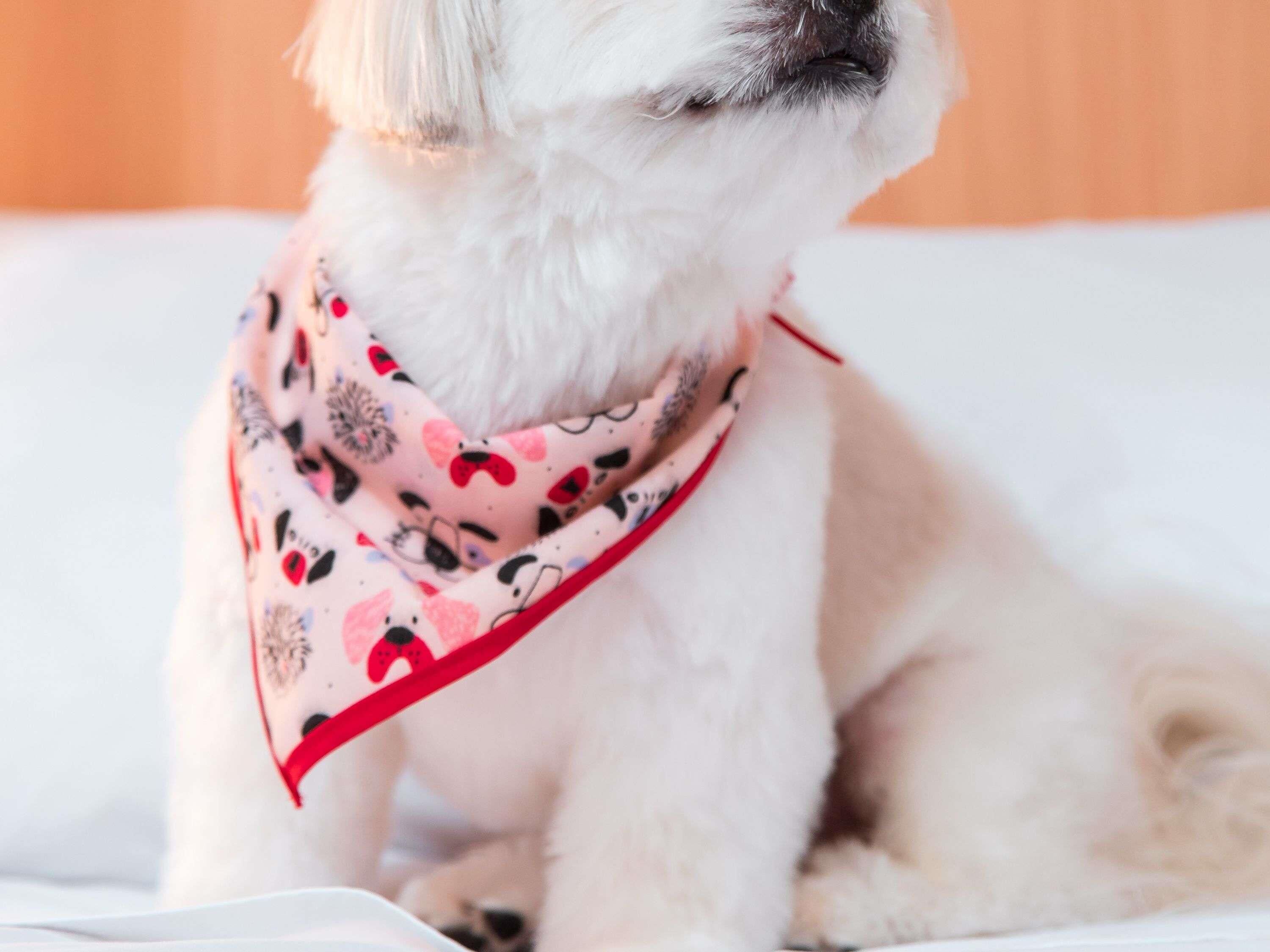 minibar, desk, blackout curtains, soundproofing