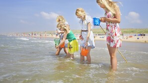 Une scène de plage où l’on voit des personnes patauger dans une eau peu profonde, tenant des seaux de couleurs vives.