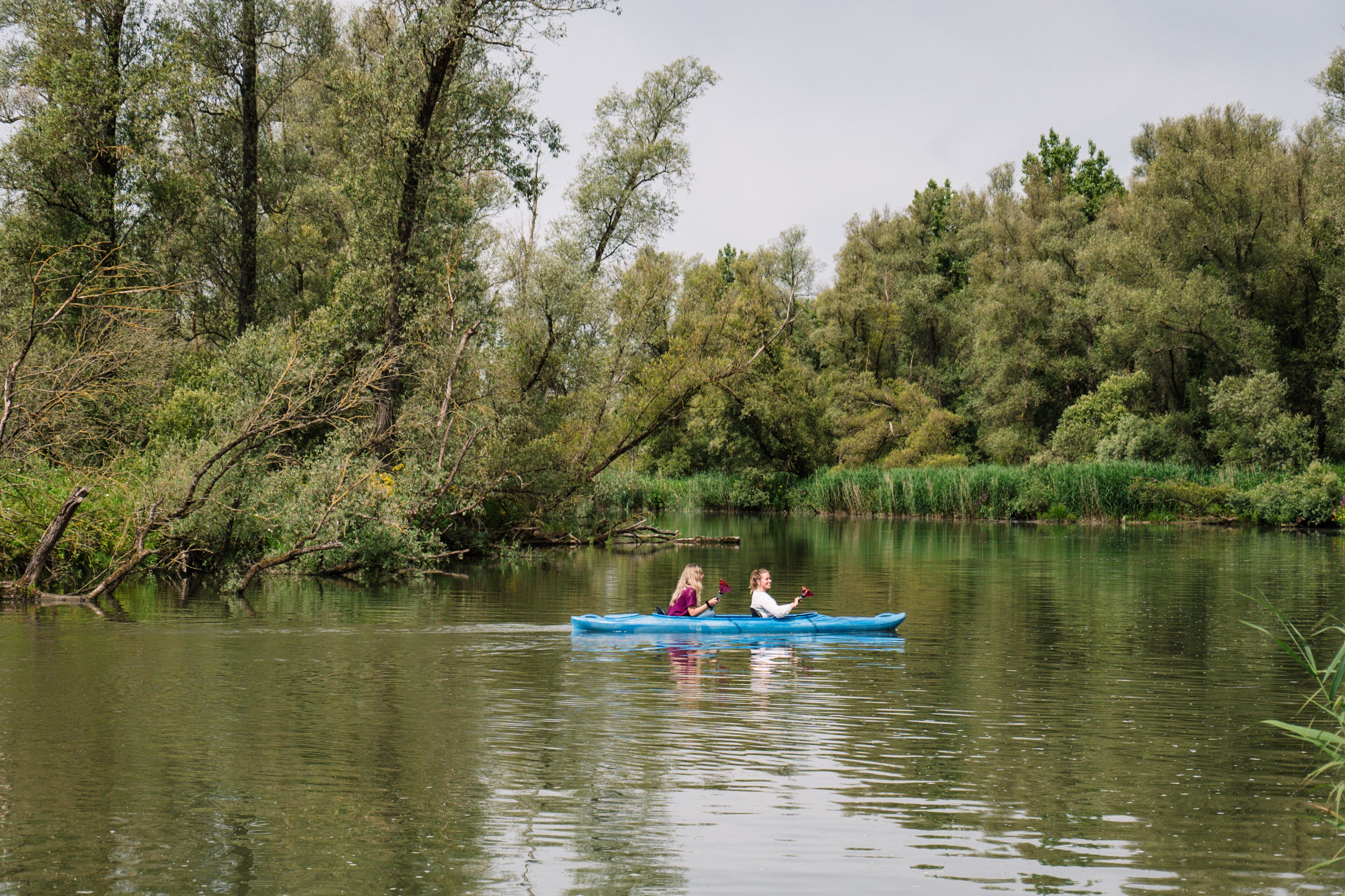 Dos personas en una canoa en un río tranquilo rodeado de árboles frondosos.