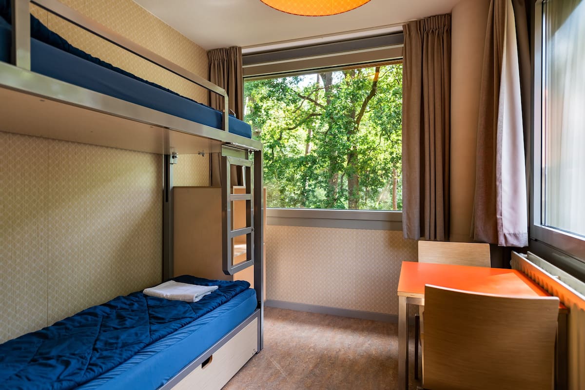 A bunk bed with a ladder, a small desk, and a window with curtains.