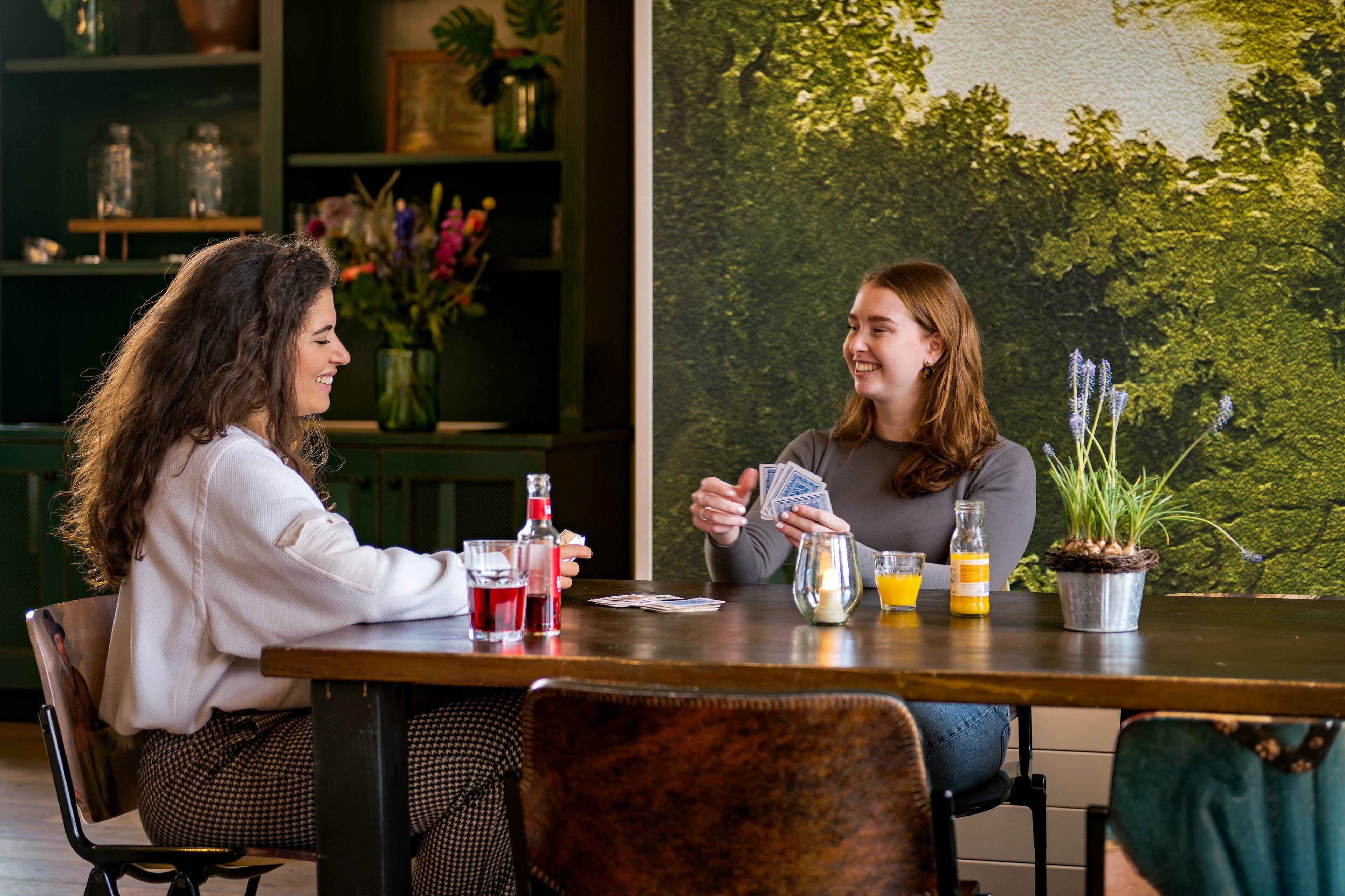 Two people playing cards at a wooden table with drinks and a potted plant.