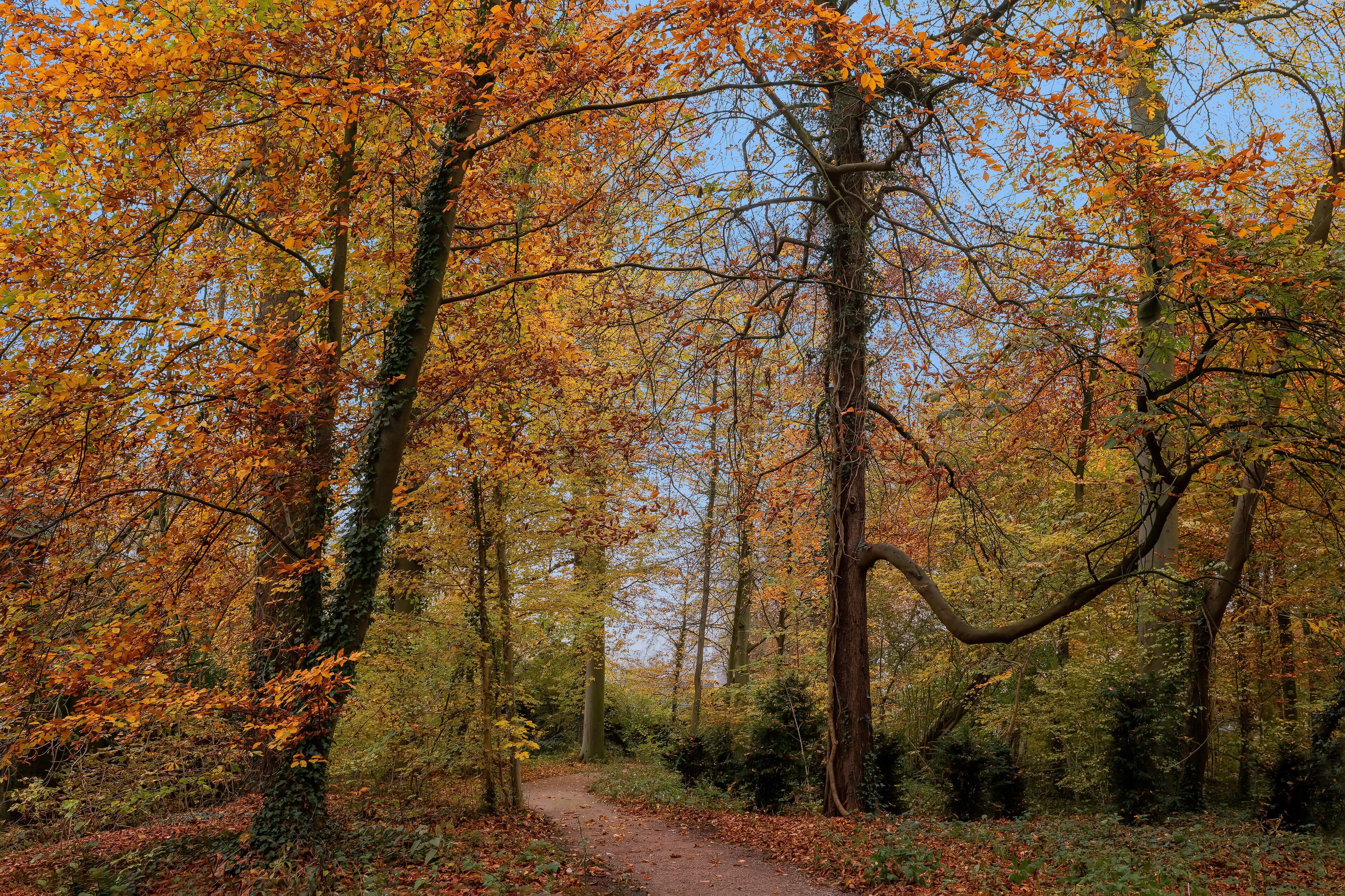 Foto - Stayokay Hostel Utrecht - Bunnik